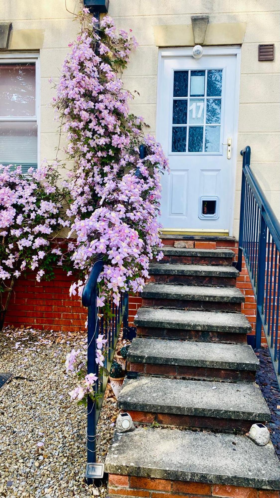 Modern Ground Floor Apartment With Free Parking Very Near Centre Ripon Exteriör bild